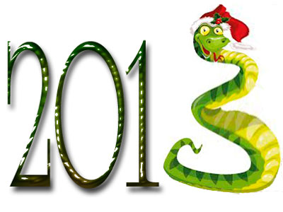 2013 год черной водяной змеи
